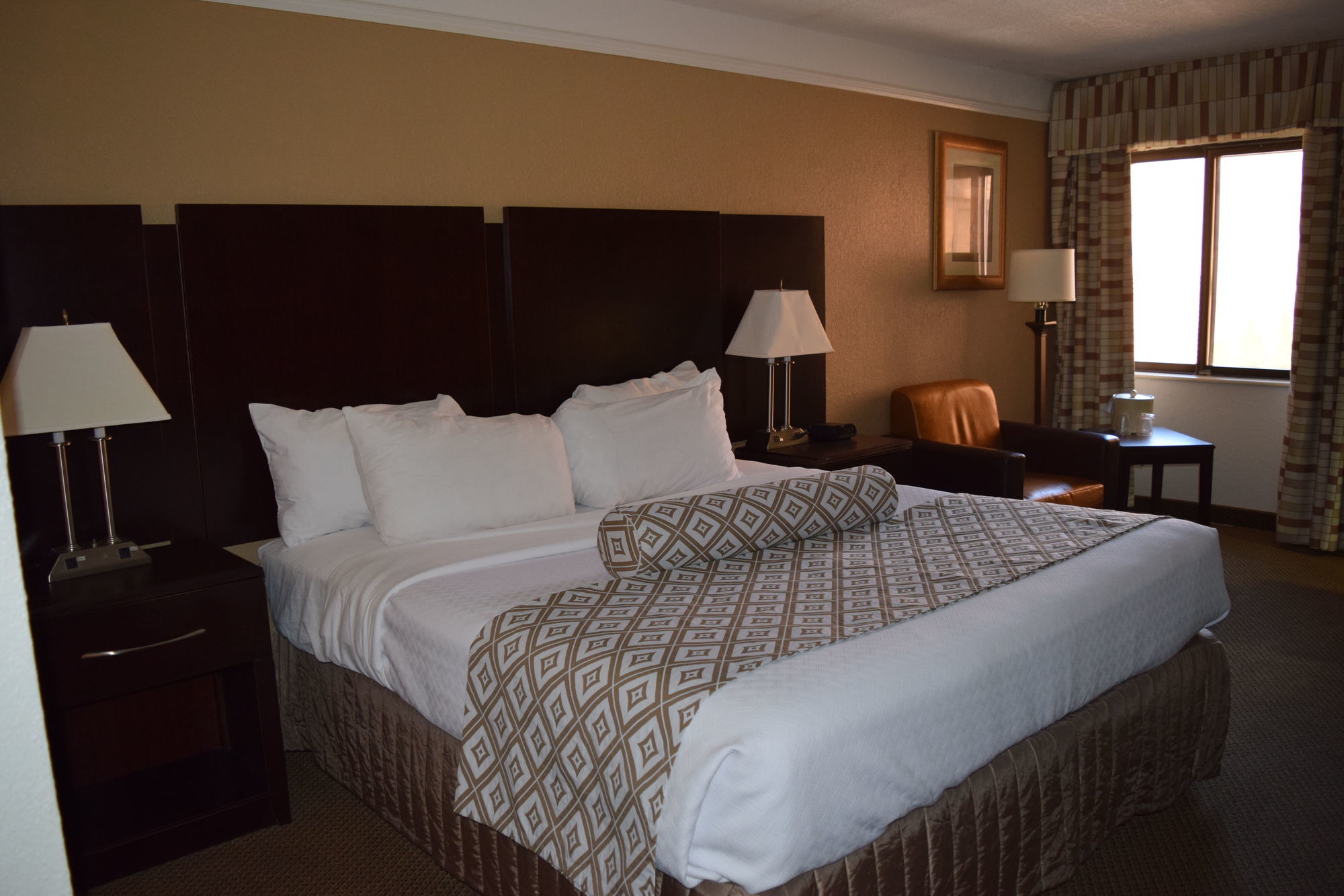 Four Points By Sheraton Detroit Novi Camera foto